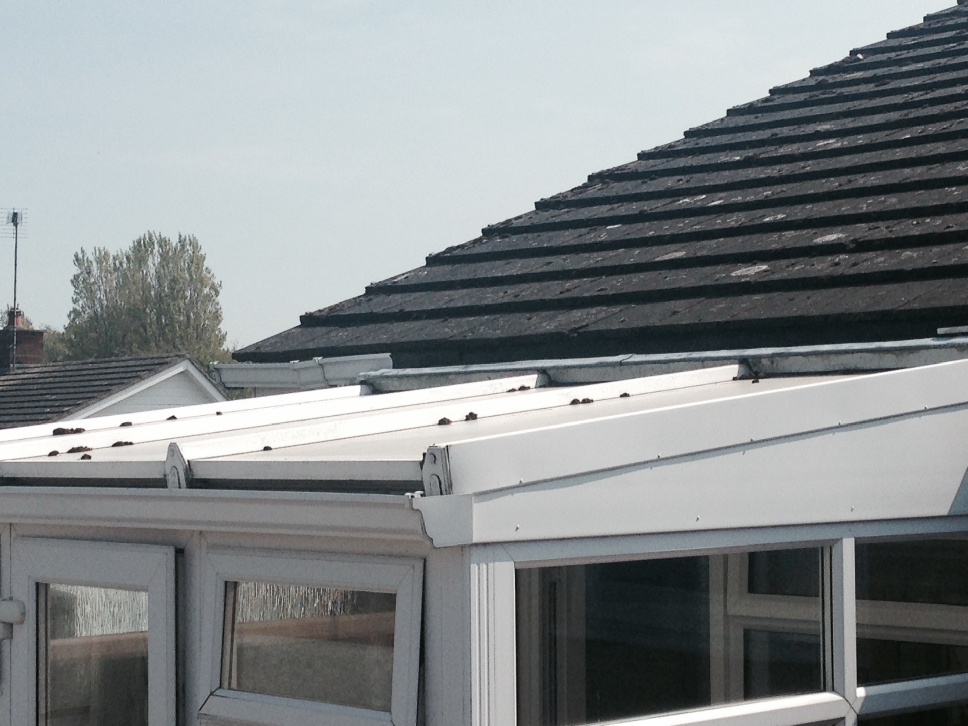 Sarnafil flat roofing Systems Essex